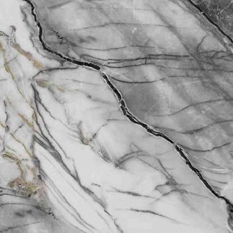 Película de transferencia de calor para gabinete resistente al calor y a prueba de aceite con raíz de musgo en blanco y negro